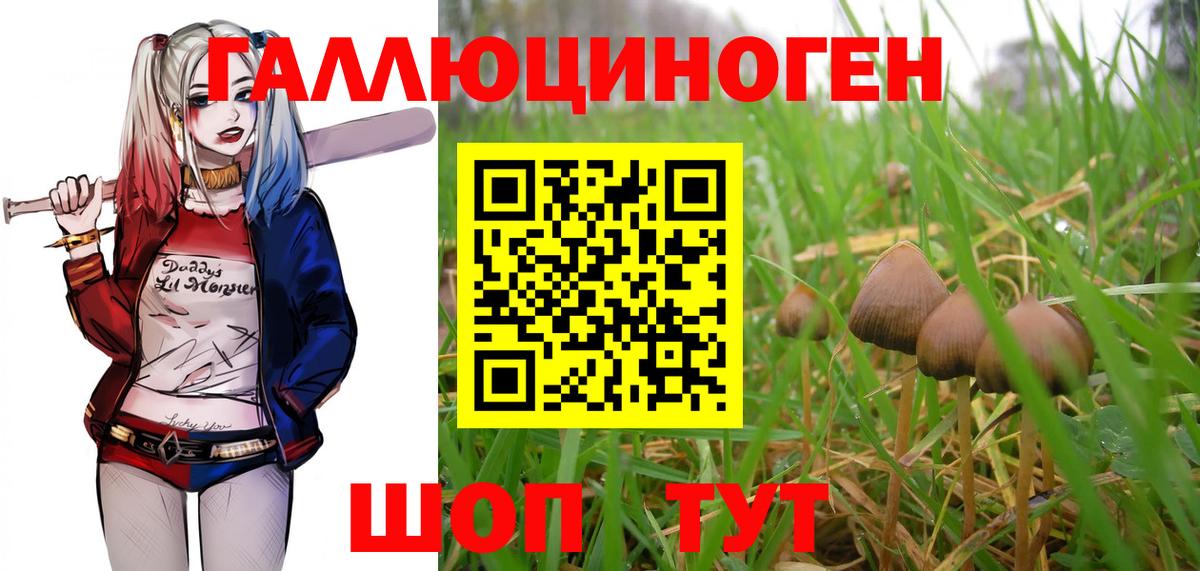 Гагарин  Псилоцибиновые грибы GOLDEN TEACHER  купить наркотики цена  Вход с VPN  Галлюциногенные грибы мухоморы 