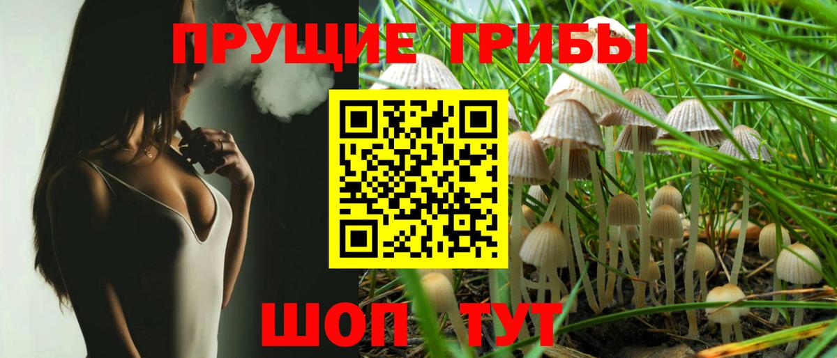 Псилоцибиновые грибы Psilocybe Гагарин